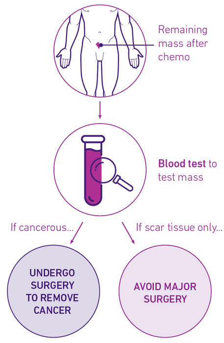 AProf Tran infographic